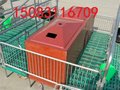 热销母猪产床 猪用双体产床 厂家直销母猪分娩床