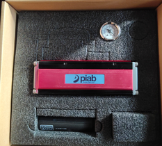 (yu)ݹ  piab հl(f) P6010.AM.01.LJ.58