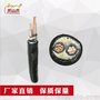 爬山虎牌YJV22 2等芯双绞线无氧铜花线灯头线家用电线