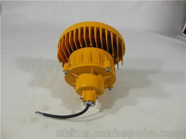 LED防爆投光燈30W化工廠(chǎng)油站用LED防爆吸頂燈圖片