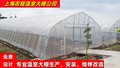 GP-832型单体大棚 单体蔬菜大棚钢管