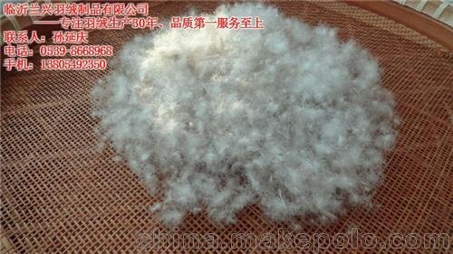 蘭興羽絨(圖) 優(yōu)質鵝絨生產廠家 聊城鵝絨圖片