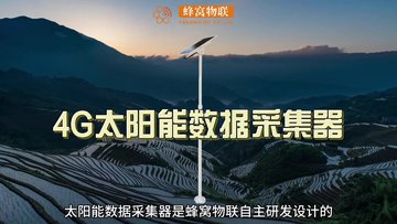 蜂窝物联太阳能4G数据采集器