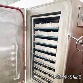 宜宾竹笋液氮速冻机厂家