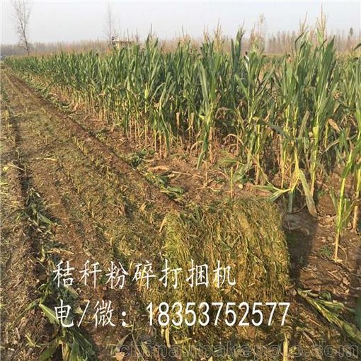 棉桿粉碎打包機(jī)  多用粉碎收集機(jī)圖片