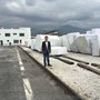 定期从意大利，进鱼肚白雪花白卡金 回来满足市场及新老客户的需求