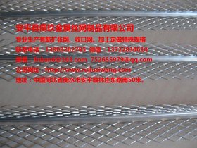 建筑钢网箱扩张网鱼刺网轻钢网膜收口网，儒玖丝网 厂家直销可定制