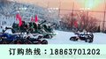 滑雪的乐趣 亲子情侣雪地坦克车 油电混合式儿童坦克车 不言而喻