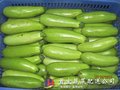 石龙食材配送中心 2016-09-05
