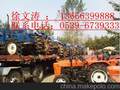向阳二手拖拉机向阳二手农机向阳二手插秧机