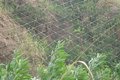 厂家直销山体主动护坡网现货