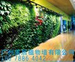房地产外墙仿真绿植装饰公司#找美居植物墙封面有限公司专业可靠