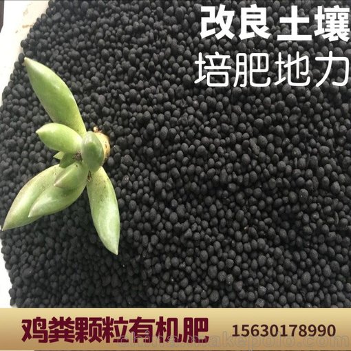 銷(xiāo)售松原雞糞有機肥 西瓜專(zhuān)用肥 遼寧生物肥料 發(fā)酵羊糞 生物菌豬糞圖片