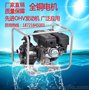2寸高压汽油机水泵EU-20GB