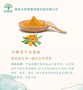 沙棘冻干粉 全果粉 无添加