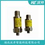 湖北漢開 振動加溫度變送器NB331A