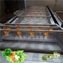 食品清洗机-菠菜清洗机型号