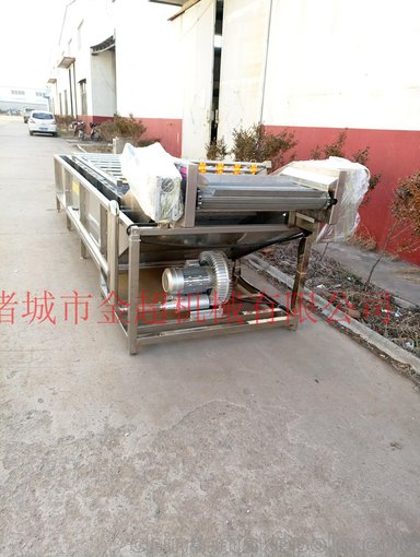 菇類菌類專用氣泡清洗機(jī)圖片