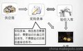 玉器系统管理软件单机版-网络版