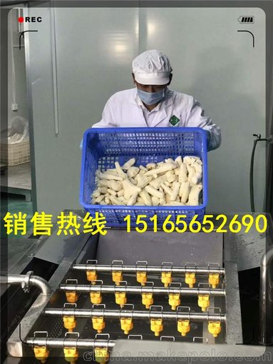 大型食堂洗菜機(jī) 大學(xué)食堂餐廳洗菜機(jī)圖片圖片