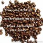 厂家直销棕色母，色粉，棕色母粒，胶袋色母，PP管材色种，ABS棕色种