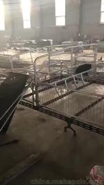 双体母猪产床仔猪保育床限位栏专业生产自动化系统