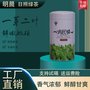 明晨日照绿茶早春叶芽绿色圆桶250g装 厂家直销日照绿茶