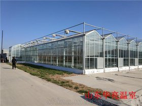 玻璃温室大棚造价  连栋玻璃温室价格 玻璃温室大棚施工方案