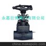 Z61Y锻钢承插焊闸阀