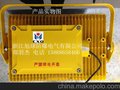 供应led防爆灯100w价格,防爆泛光灯100w,100wled防爆灯