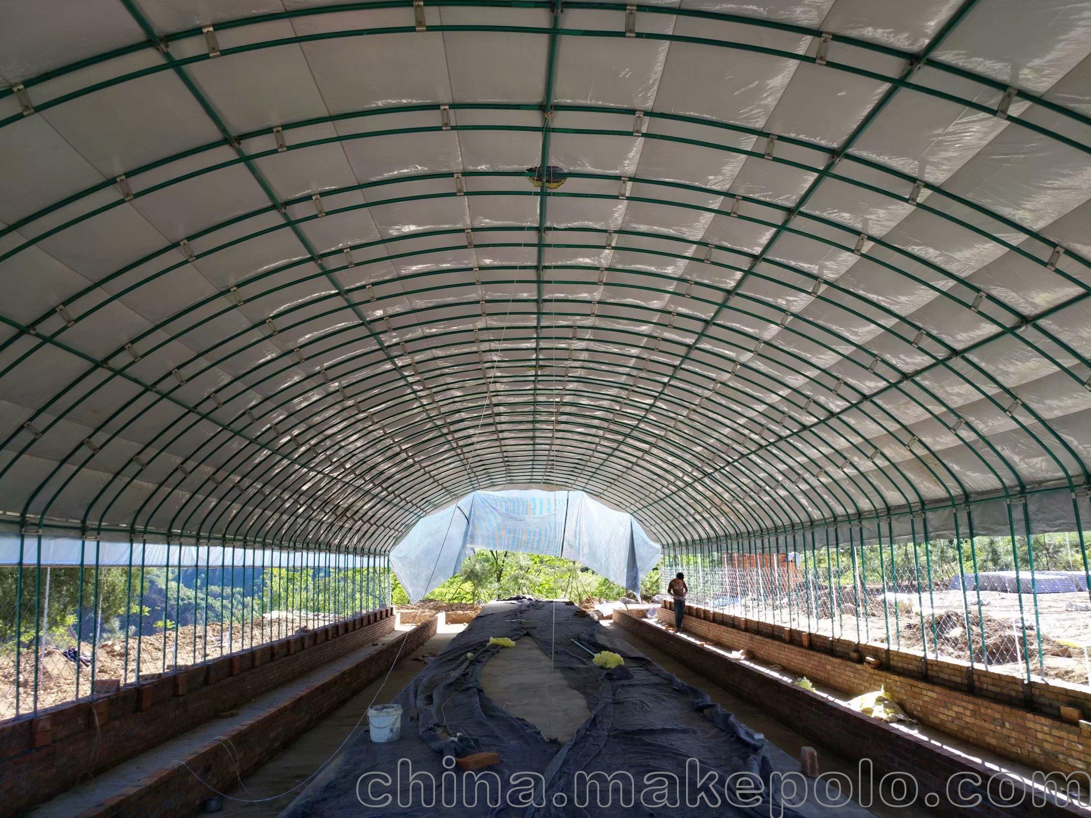 专业搭建蛋鸡养殖大棚 肉鸡养殖大棚