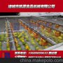 厂家直销  香橙清洗机 瓜果蔬菜全自动连续式气泡清洗流水线