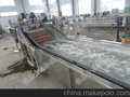 西红柿清洗机 佳惠果蔬清洗机