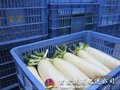 万江餐饮配送中心 2016-08-16