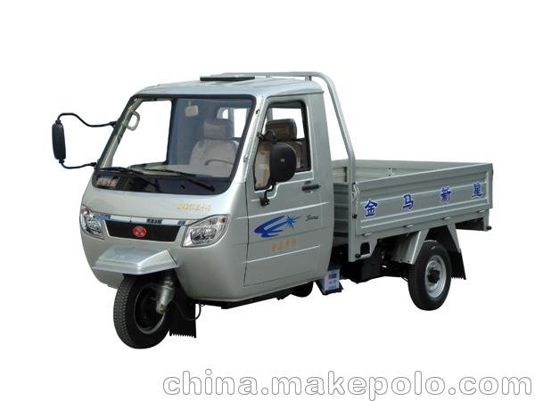宜昌大金馬JM250ZH-8三輪摩托車金馬 全封閉三輪農(nóng)用車圖片