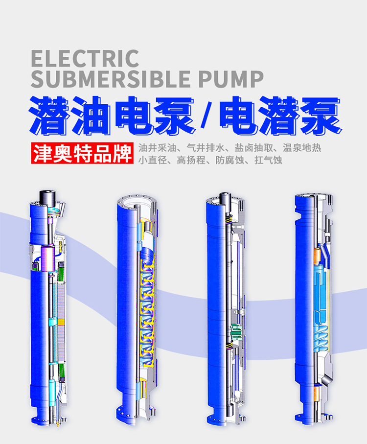 桐梓縣高揚程熱水潛水泵ESP廠家直銷