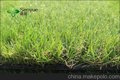 供应山东人造草坪-烟台森悦人造草坪有限公司