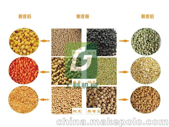 大豆脫皮機-小型黃豆豆去皮脫殼機器圖片