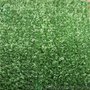 时宽SK8010草坪，军绿色人造草，10MM高人工草，高密度塑料草