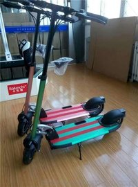 ˿׳۵綯 綯