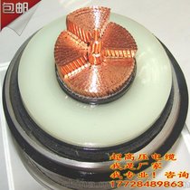 (lin)|ZR-YJLW02-Z 1x630