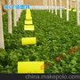 厂家直销粘虫板/农场诱虫板/果园用杀虫板/量大可定做