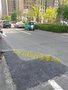 广东韶关沥青冷补料修补道路坑槽施工指南 来了