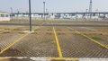 合肥植草地坪 现浇混凝土地坪