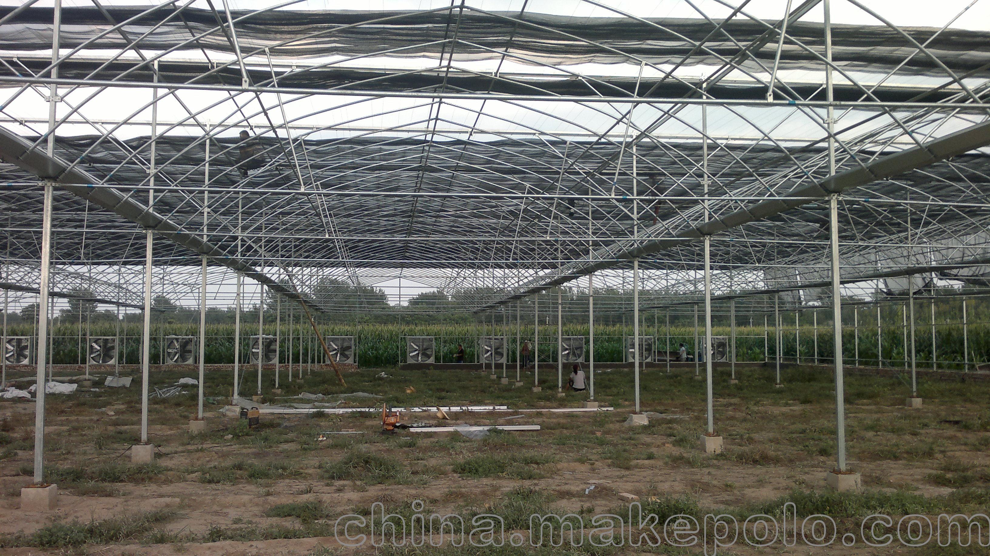 信阳蔬菜基地建设连栋温室大棚产量高