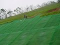 供应高速公路边坡植草网 三维植被网