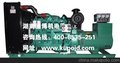 最新价格款式发电机，湘潭发电机厂家直供出租出售