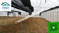 大棚浇水，温室喷灌，大棚设施，温室大棚建设施工