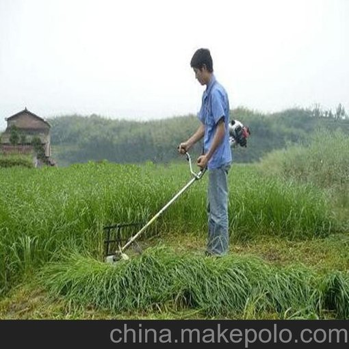 果園鋤草機 背負(fù)式汽油割草機多功能割灌木機械圖片