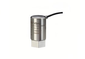 uB&K Vibro(dng)